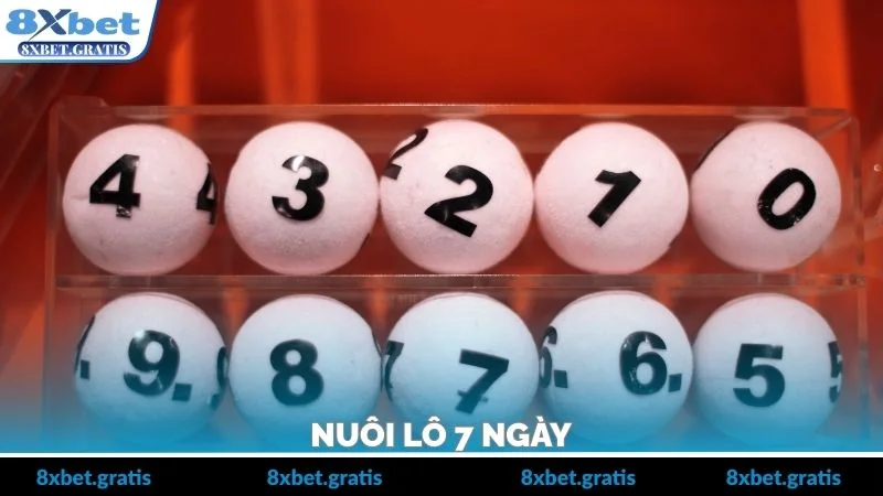 Nuôi Lô 7 Ngày – Phương Pháp Chơi Có Kế Hoạch Rõ Ràng